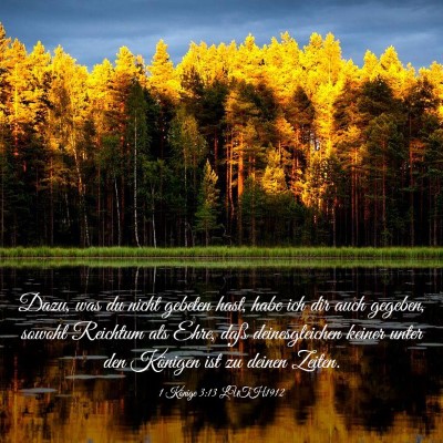 Picture 03 - 1 Könige 3:13 LUTH1912 - Dazu, was du nicht gebeten hast, habe ich dir - Bible Verse Picture