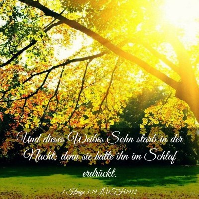 Picture 03 - 1 Könige 3:19 LUTH1912 - Und dieses Weibes Sohn starb in der Nacht; denn - Bible Verse Picture