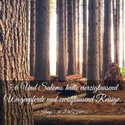 Picture 03 - 1 Könige 4:26 LUTH1912 - 5:6 Und Salomo hatte vierzigtausend Wagenpferde - Bible Verse Picture