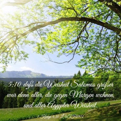Picture 03 - 1 Könige 4:30 LUTH1912 - 5:10 daß die Weisheit Salomos größer war denn - Bible Verse Picture