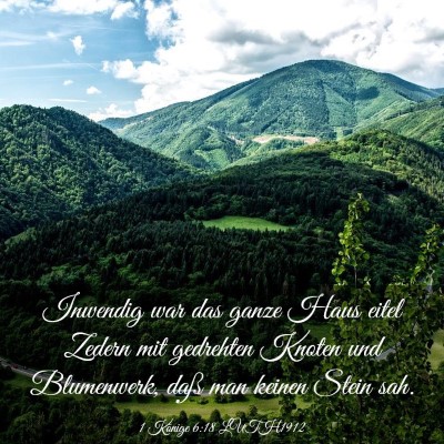 Picture 03 - 1 Könige 6:18 LUTH1912 - Inwendig war das ganze Haus eitel Zedern mit - Bible Verse Picture