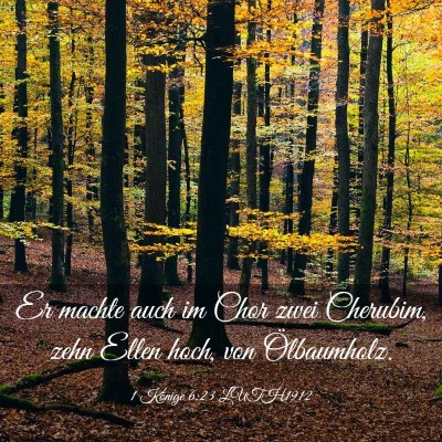 Picture 03 - 1 Könige 6:23 LUTH1912 - Er machte auch im Chor zwei Cherubim, zehn Ellen - Bible Verse Picture
