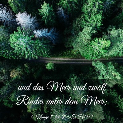 Picture 03 - 1 Könige 7:44 LUTH1912 - und das Meer und zwölf Rinder unter dem - Bible Verse Picture