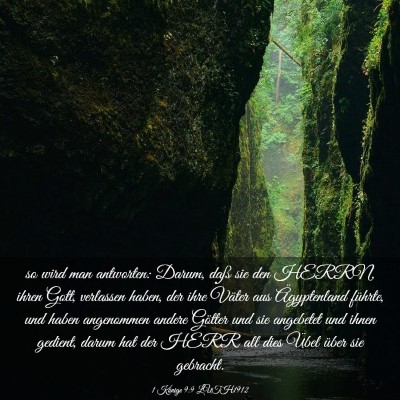 Picture 03 - 1 Könige 9:9 LUTH1912 - so wird man antworten: Darum, daß sie den HERRN, - Bible Verse Picture
