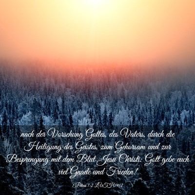 Picture 03 - 1 Petrus 1:2 LUTH1912 - nach der Vorsehung Gottes, des Vaters, durch die - Bible Verse Picture