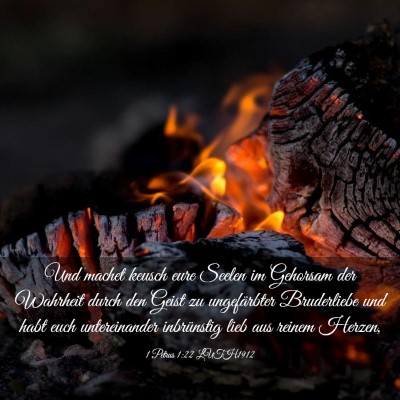 Picture 03 - 1 Petrus 1:22 LUTH1912 - Und machet keusch eure Seelen im Gehorsam der - Bible Verse Picture
