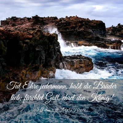 Picture 03 - 1 Petrus 2:17 LUTH1912 - Tut Ehre jedermann, habt die Brüder lieb; - Bible Verse Picture