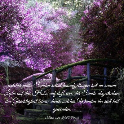 Picture 03 - 1 Petrus 2:24 LUTH1912 - welcher unsre Sünden selbst hinaufgetragen hat - Bible Verse Picture