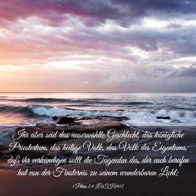 Picture 03 - 1 Petrus 2:9 LUTH1912 - Ihr aber seid das auserwählte Geschlecht, das - Bible Verse Picture