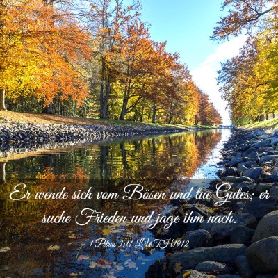Picture 03 - 1 Petrus 3:11 LUTH1912 - Er wende sich vom Bösen und tue Gutes; er suche - Bible Verse Picture