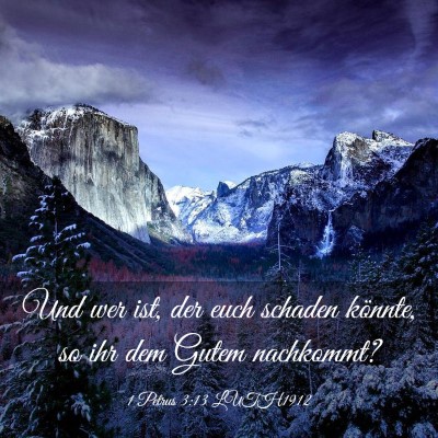 Picture 03 - 1 Petrus 3:13 LUTH1912 - Und wer ist, der euch schaden könnte, so ihr dem - Bible Verse Picture