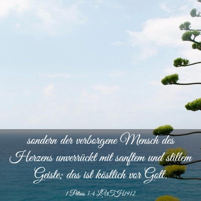 Picture 03 - 1 Petrus 3:4 LUTH1912 - sondern der verborgene Mensch des Herzens - Bible Verse Picture