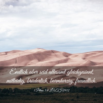 Picture 03 - 1 Petrus 3:8 LUTH1912 - Endlich aber seid allesamt gleichgesinnt, - Bible Verse Picture