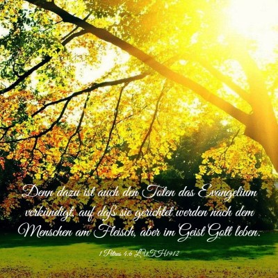 Picture 03 - 1 Petrus 4:6 LUTH1912 - Denn dazu ist auch den Toten das Evangelium - Bible Verse Picture