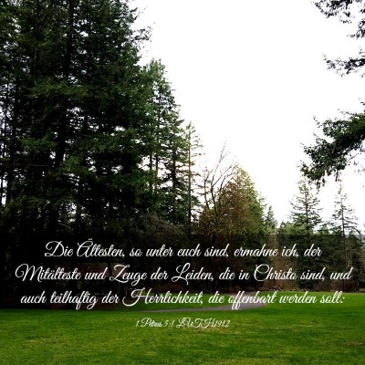 Picture 03 - 1 Petrus 5:1 LUTH1912 - Die Ältesten, so unter euch sind, ermahne ich, - Bible Verse Picture