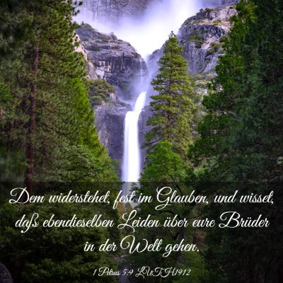 Picture 03 - 1 Petrus 5:9 LUTH1912 - Dem widerstehet, fest im Glauben, und wisset, - Bible Verse Picture