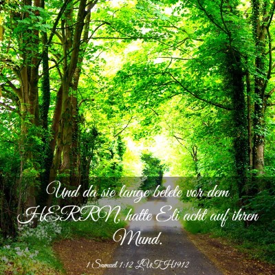 Picture 03 - 1 Samuel 1:12 LUTH1912 - Und da sie lange betete vor dem HERRN, hatte Eli - Bible Verse Picture