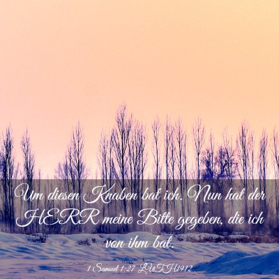 Picture 03 - 1 Samuel 1:27 LUTH1912 - Um diesen Knaben bat ich. Nun hat der HERR meine - Bible Verse Picture