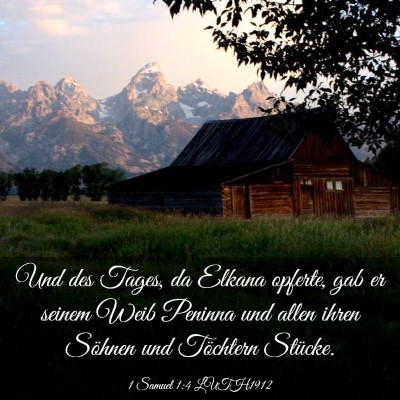 Picture 03 - 1 Samuel 1:4 LUTH1912 - Und des Tages, da Elkana opferte, gab er seinem - Bible Verse Picture