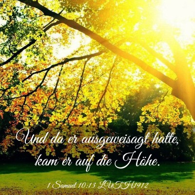 Picture 03 - 1 Samuel 10:13 LUTH1912 - Und da er ausgeweisagt hatte, kam er auf die - Bible Verse Picture