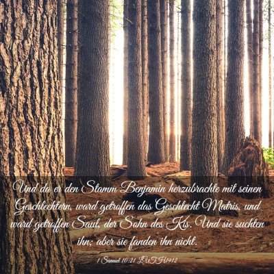 Picture 03 - 1 Samuel 10:21 LUTH1912 - Und da er den Stamm Benjamin herzubrachte mit - Bible Verse Picture