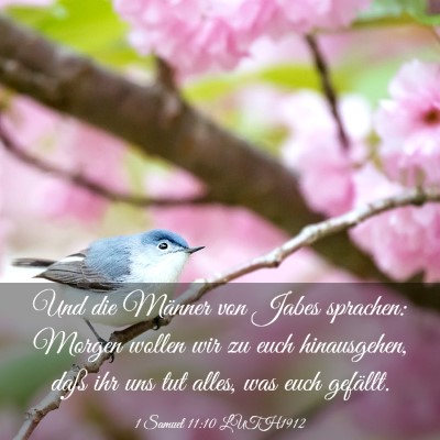 Picture 03 - 1 Samuel 11:10 LUTH1912 - Und die Männer von Jabes sprachen: Morgen wollen - Bible Verse Picture