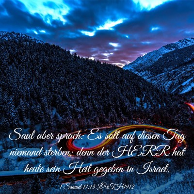 Picture 03 - 1 Samuel 11:13 LUTH1912 - Saul aber sprach: Es soll auf diesen Tag niemand - Bible Verse Picture