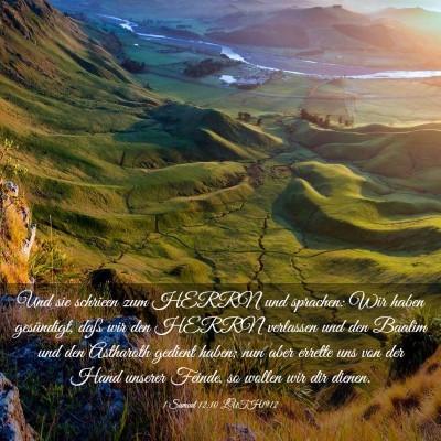 Picture 03 - 1 Samuel 12:10 LUTH1912 - Und sie schrieen zum HERRN und sprachen: Wir - Bible Verse Picture