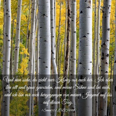 Picture 03 - 1 Samuel 12:2 LUTH1912 - Und nun siehe, da zieht euer König vor euch her. - Bible Verse Picture