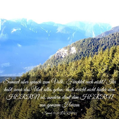 Picture 03 - 1 Samuel 12:20 LUTH1912 - Samuel aber sprach zum Volk: Fürchtet euch - Bible Verse Picture