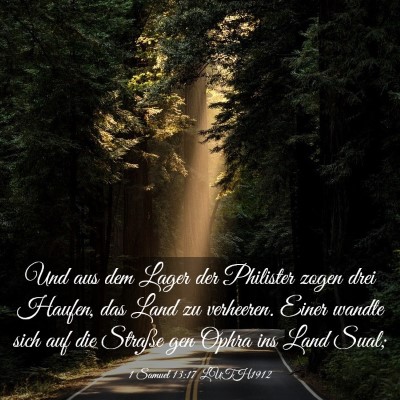 Picture 03 - 1 Samuel 13:17 LUTH1912 - Und aus dem Lager der Philister zogen drei - Bible Verse Picture