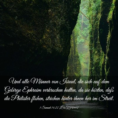 Picture 03 - 1 Samuel 14:22 LUTH1912 - Und alle Männer von Israel, die sich auf dem - Bible Verse Picture