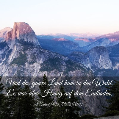 Picture 03 - 1 Samuel 14:25 LUTH1912 - Und das ganze Land kam in den Wald. Es war aber - Bible Verse Picture