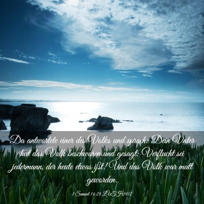 Picture 03 - 1 Samuel 14:28 LUTH1912 - Da antwortete einer des Volks und sprach: Dein - Bible Verse Picture