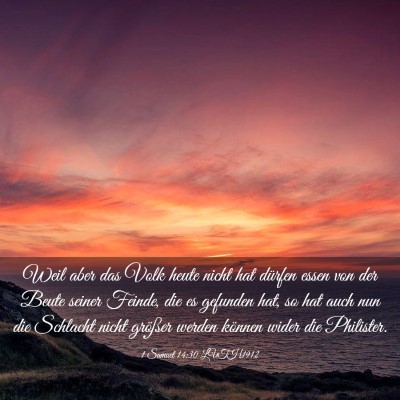 Picture 03 - 1 Samuel 14:30 LUTH1912 - Weil aber das Volk heute nicht hat dürfen essen - Bible Verse Picture