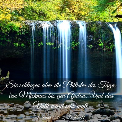 Picture 03 - 1 Samuel 14:31 LUTH1912 - Sie schlugen aber die Philister des Tages von - Bible Verse Picture
