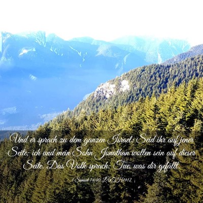 Picture 03 - 1 Samuel 14:40 LUTH1912 - Und er sprach zu dem ganzen Israel: Seid ihr auf - Bible Verse Picture