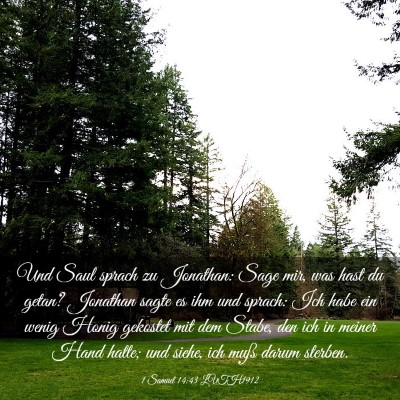 Picture 03 - 1 Samuel 14:43 LUTH1912 - Und Saul sprach zu Jonathan: Sage mir, was hast - Bible Verse Picture