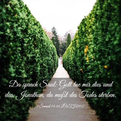 Picture 03 - 1 Samuel 14:44 LUTH1912 - Da sprach Saul: Gott tue mir dies und das, - Bible Verse Picture