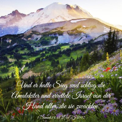 Picture 03 - 1 Samuel 14:48 LUTH1912 - Und er hatte Sieg und schlug die Amalekiter und - Bible Verse Picture