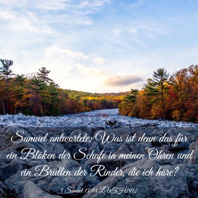 Picture 03 - 1 Samuel 15:14 LUTH1912 - Samuel antwortete: Was ist denn das für ein - Bible Verse Picture
