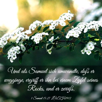 Picture 03 - 1 Samuel 15:27 LUTH1912 - Und als Samuel sich umwandte, daß er wegginge, - Bible Verse Picture