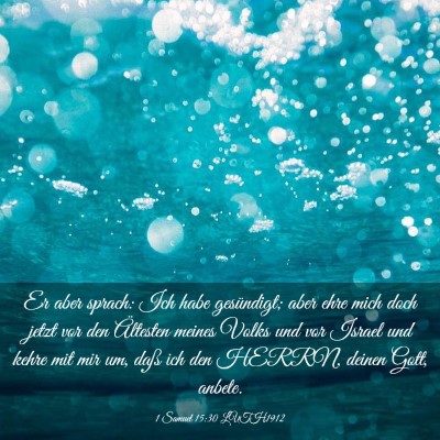 Picture 03 - 1 Samuel 15:30 LUTH1912 - Er aber sprach: Ich habe gesündigt; aber ehre - Bible Verse Picture