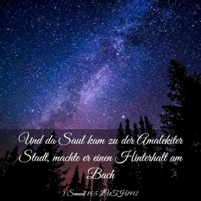 Picture 03 - 1 Samuel 15:5 LUTH1912 - Und da Saul kam zu der Amalekiter Stadt, machte - Bible Verse Picture