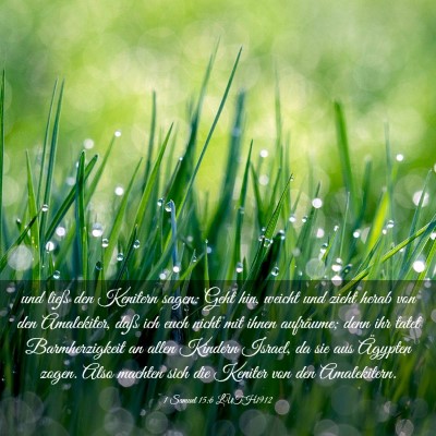 Picture 03 - 1 Samuel 15:6 LUTH1912 - und ließ den Kenitern sagen: Geht hin, weicht - Bible Verse Picture