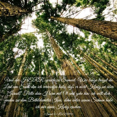Picture 03 - 1 Samuel 16:1 LUTH1912 - Und der HERR sprach zu Samuel: Wie lange trägst - Bible Verse Picture