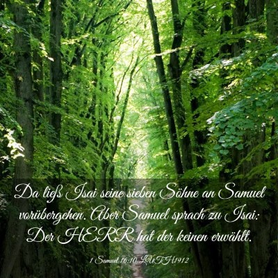 Picture 03 - 1 Samuel 16:10 LUTH1912 - Da ließ Isai seine sieben Söhne an Samuel - Bible Verse Picture