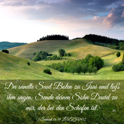 Picture 03 - 1 Samuel 16:19 LUTH1912 - Da sandte Saul Boten zu Isai und ließ ihm sagen: - Bible Verse Picture
