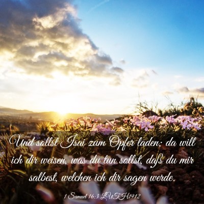 Picture 03 - 1 Samuel 16:3 LUTH1912 - Und sollst Isai zum Opfer laden; da will ich dir - Bible Verse Picture