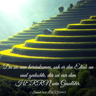 Picture 03 - 1 Samuel 16:6 LUTH1912 - Da sie nun hereinkamen, sah er den Eliab an und - Bible Verse Picture